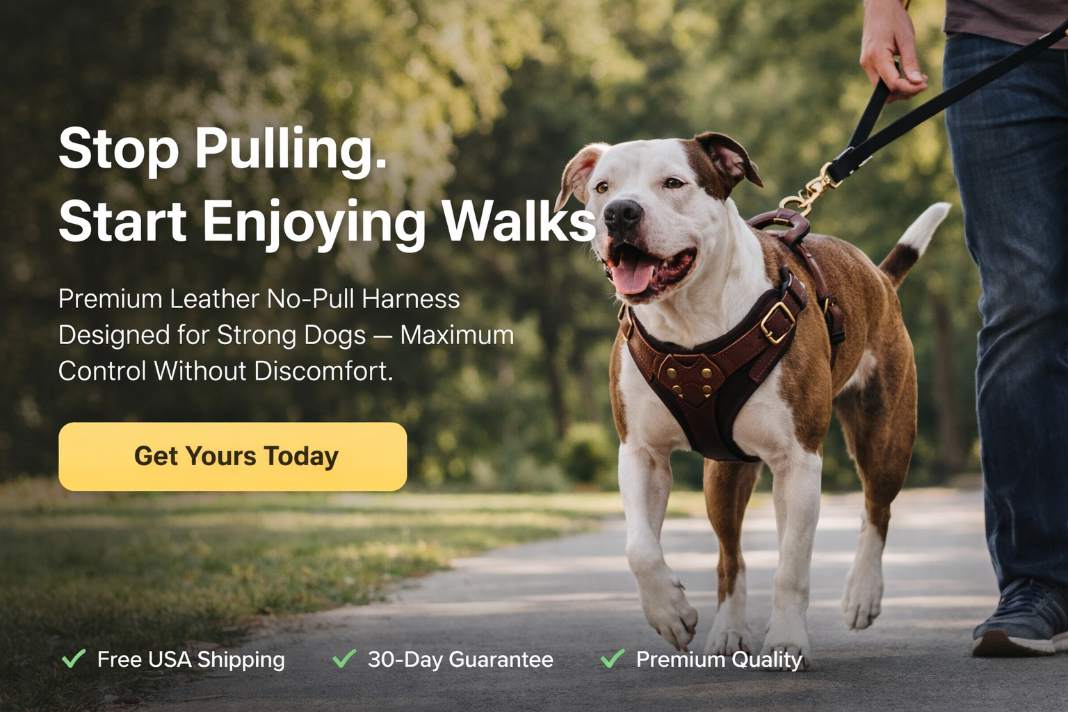 Dog walking on a leash with text about a no-pull harness, set against a natural background.