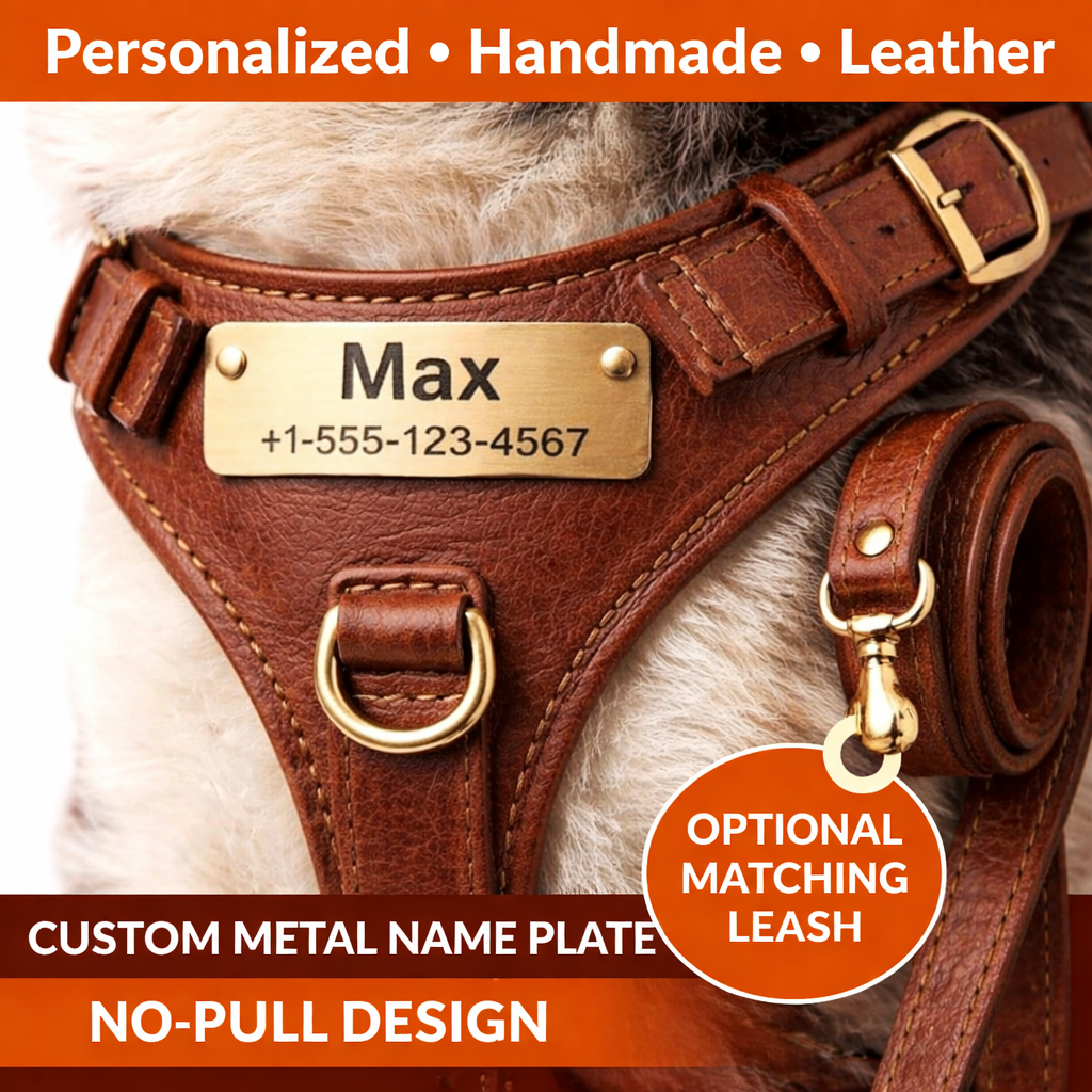 Brown leather dog harness with a gold nameplate on a white background